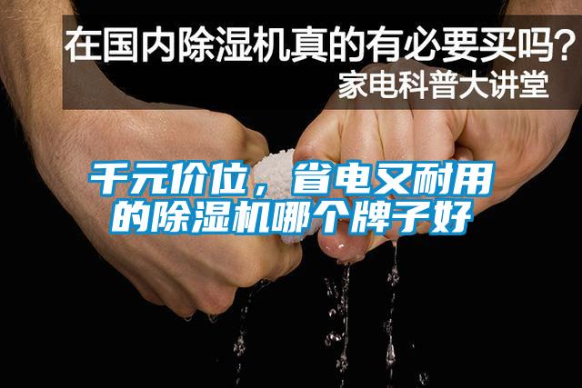 千元價位，省電又耐用的除濕機(jī)哪個牌子好