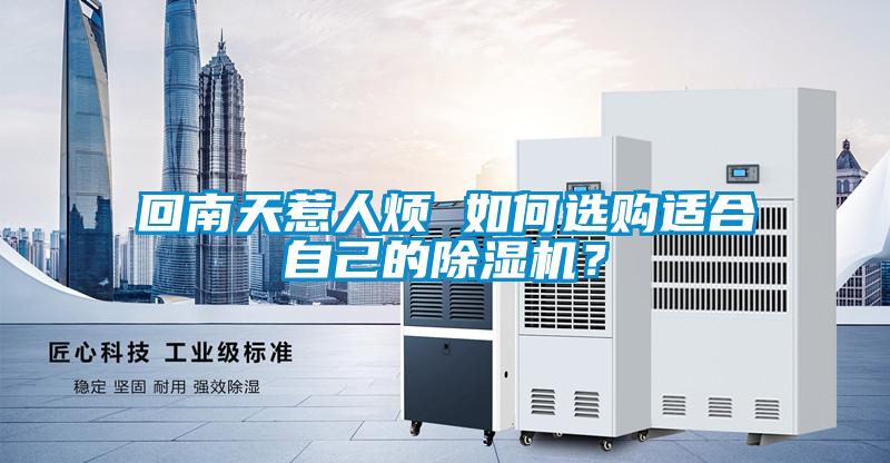 回南天惹人煩 如何選購適合自己的除濕機？