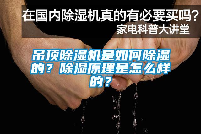 吊頂除濕機是如何除濕的？除濕原理是怎么樣的？