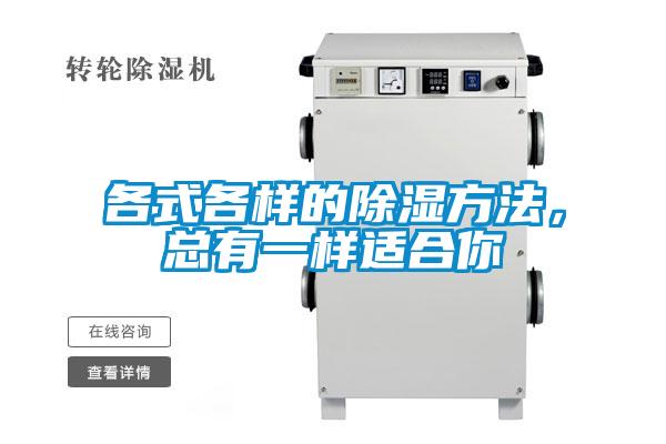 各式各樣的除濕方法，總有一樣適合你