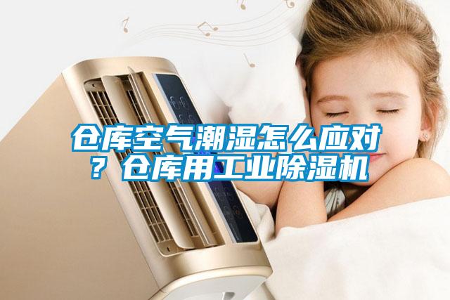 倉庫空氣潮濕怎么應(yīng)對？倉庫用工業(yè)除濕機(jī)
