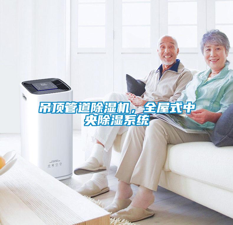 吊頂管道除濕機(jī)，全屋式中央除濕系統(tǒng)