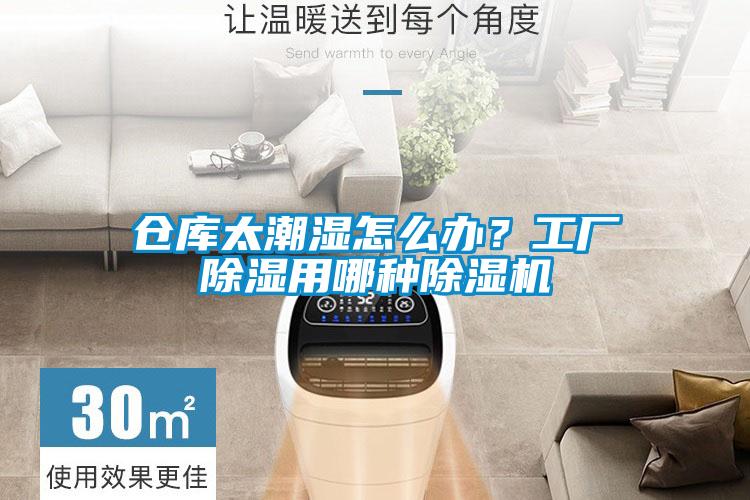 倉庫太潮濕怎么辦？工廠除濕用哪種除濕機(jī)