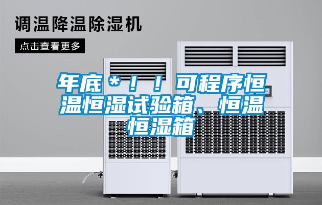 年底＊！！可程序恒溫恒濕試驗(yàn)箱、恒溫恒濕箱