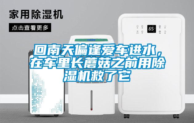 回南天偏逢愛車進水，在車?yán)镩L蘑菇之前用除濕機救了它