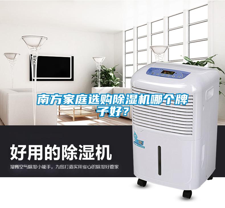 南方家庭選購除濕機哪個牌子好？