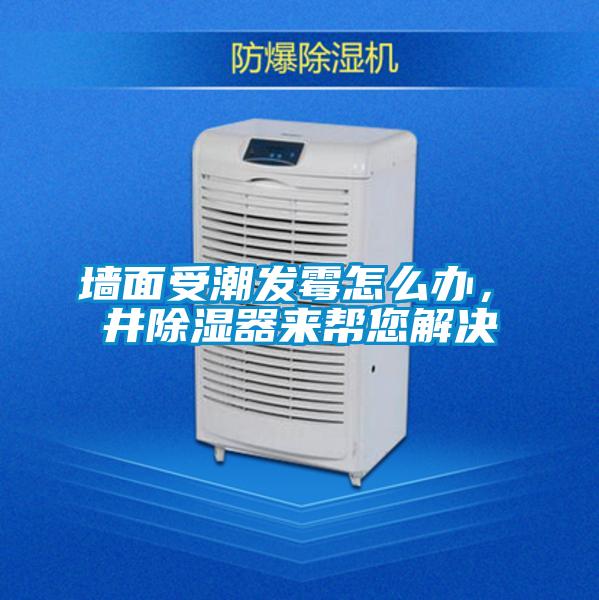 墻面受潮發(fā)霉怎么辦，東井除濕器來(lái)幫您解決
