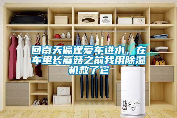回南天偏逢愛車進水，在車?yán)镩L蘑菇之前我用除濕機救了它