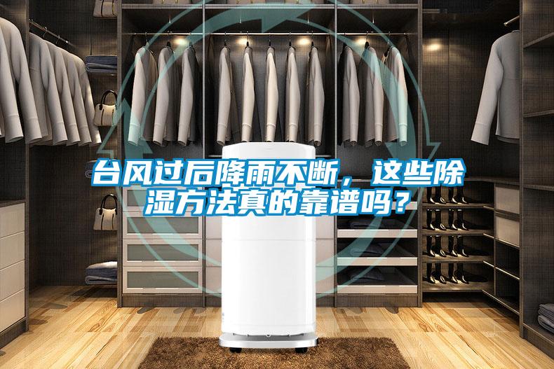 臺(tái)風(fēng)過(guò)后降雨不斷，這些除濕方法真的靠譜嗎？