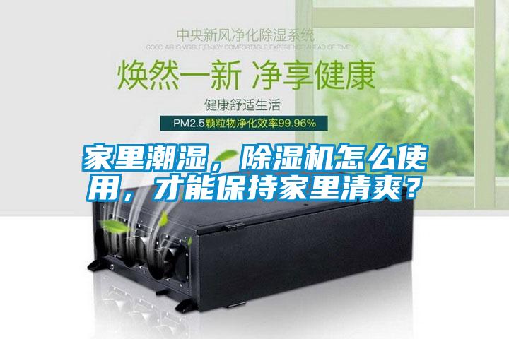 家里潮濕，除濕機(jī)怎么使用，才能保持家里清爽？