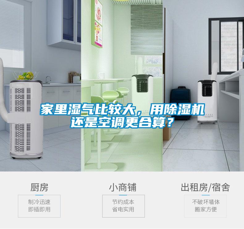 家里濕氣比較大，用除濕機(jī)還是空調(diào)更合算？