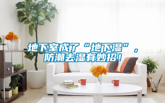 地下室成了“地下濕”，防潮去濕有妙招！