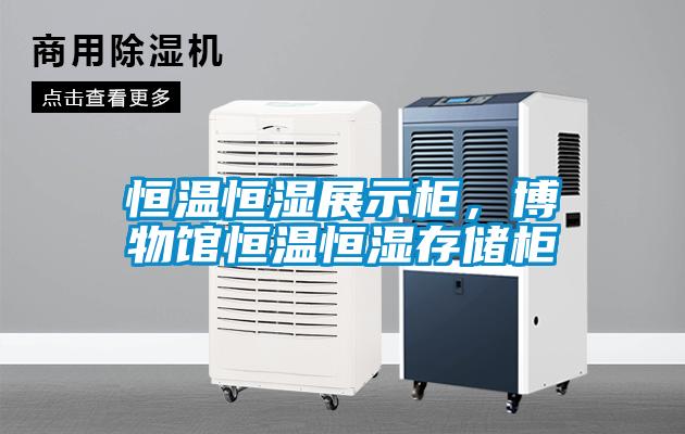 恒溫恒濕展示柜，博物館恒溫恒濕存儲柜
