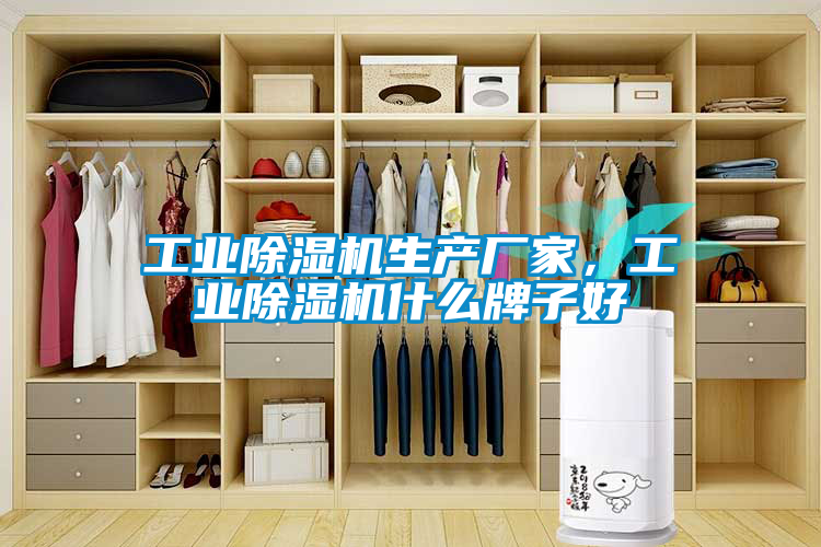 工業(yè)除濕機生產(chǎn)廠家，工業(yè)除濕機什么牌子好