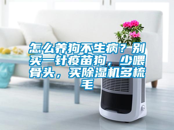 怎么養(yǎng)狗不生病？別買一針疫苗狗，少喂骨頭，買除濕機多梳毛