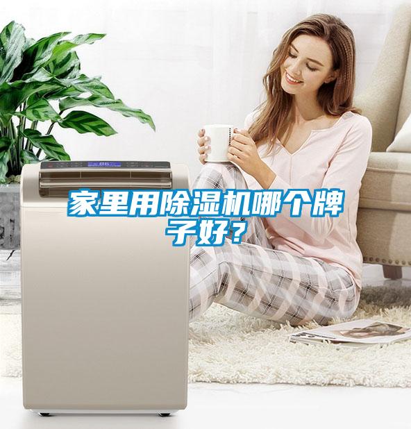 家里用除濕機(jī)哪個(gè)牌子好？