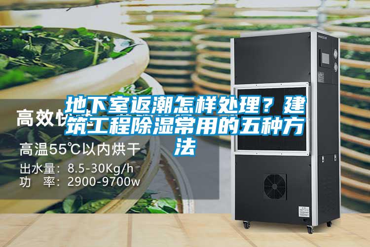 地下室返潮怎樣處理？建筑工程除濕常用的五種方法