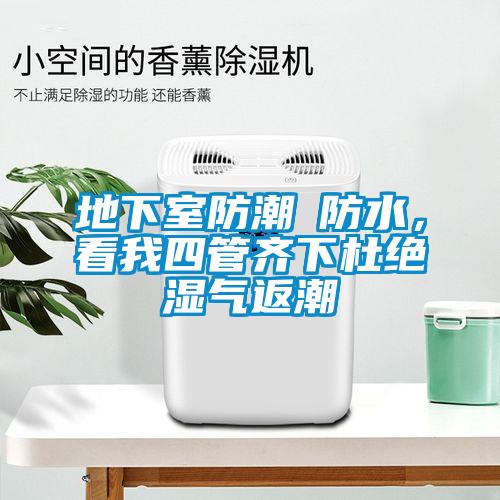 地下室防潮≠防水，看我四管齊下杜絕濕氣返潮