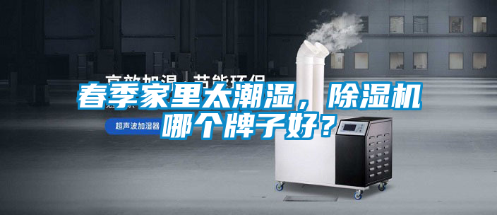春季家里太潮濕，除濕機(jī)哪個牌子好？