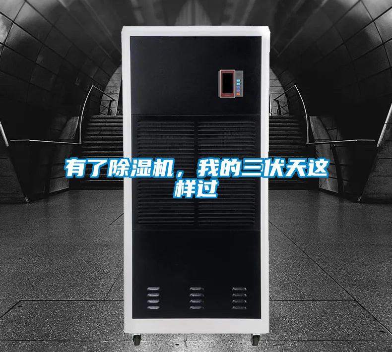有了除濕機(jī)，我的三伏天這樣過