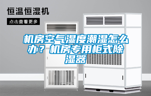機房空氣濕度潮濕怎么辦？機房專用柜式除濕器