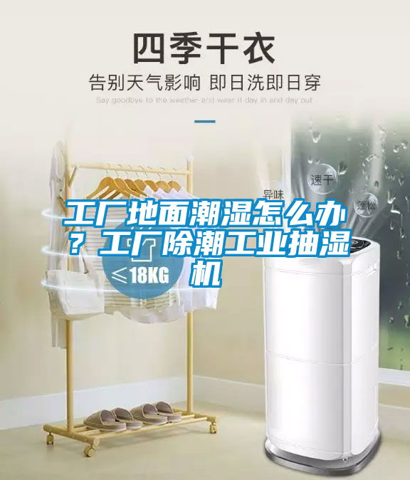 工廠地面潮濕怎么辦？工廠除潮工業(yè)抽濕機(jī)