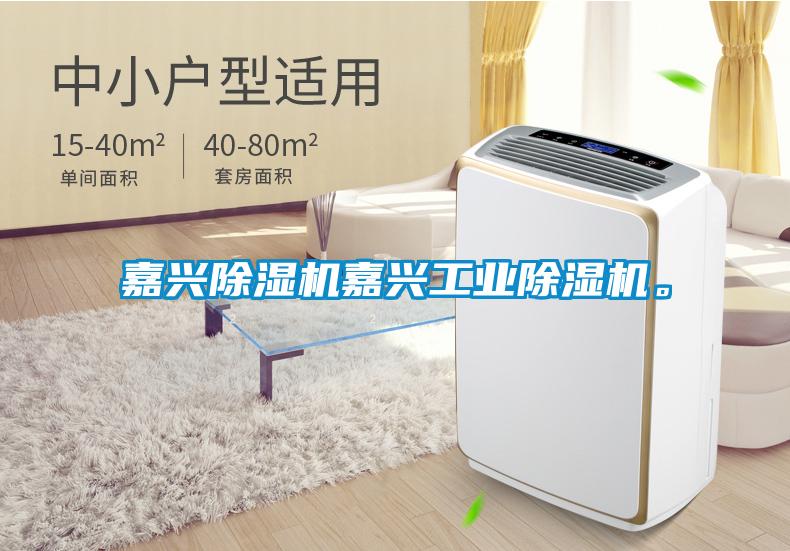 嘉興除濕機(jī)嘉興工業(yè)除濕機(jī)。