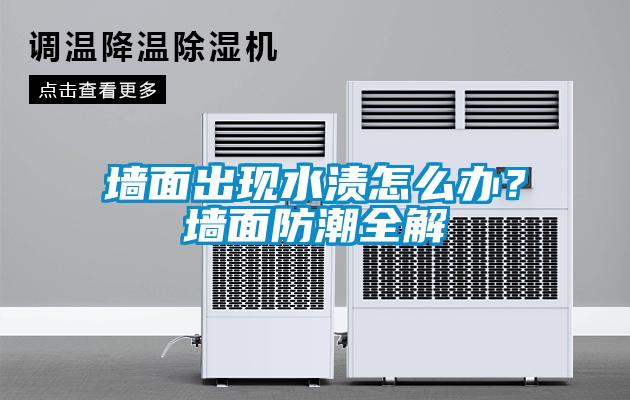 墻面出現水漬怎么辦？墻面防潮全解