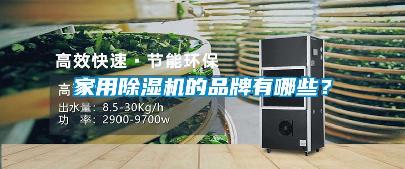 家用除濕機(jī)的品牌有哪些？