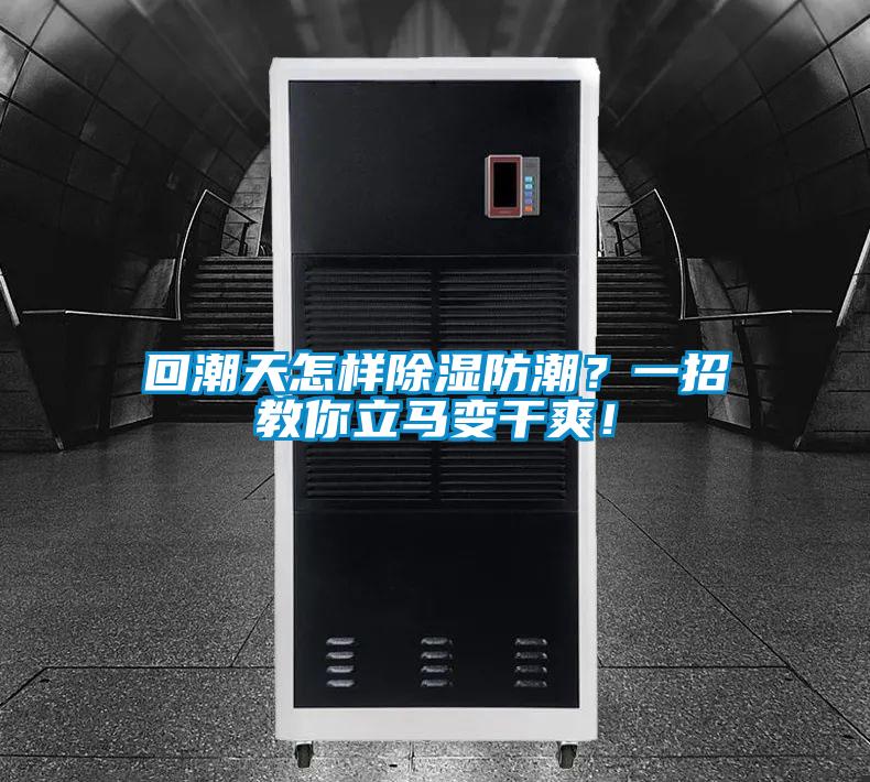 回潮天怎樣除濕防潮？一招教你立馬變干爽！