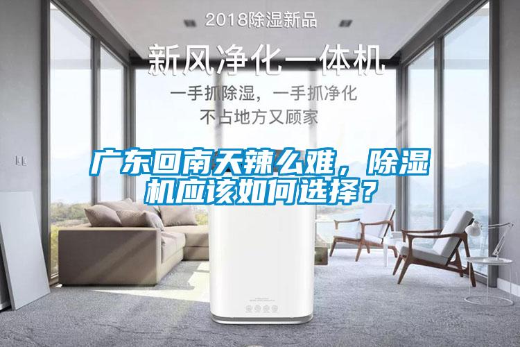 廣東回南天辣么難，除濕機應該如何選擇？