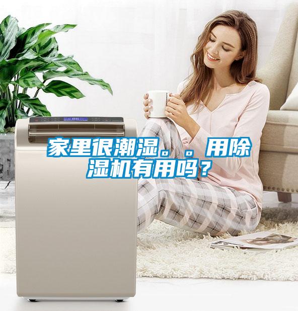 家里很潮濕。。用除濕機有用嗎？