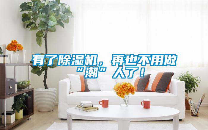 有了除濕機(jī)，再也不用做“潮”人了！