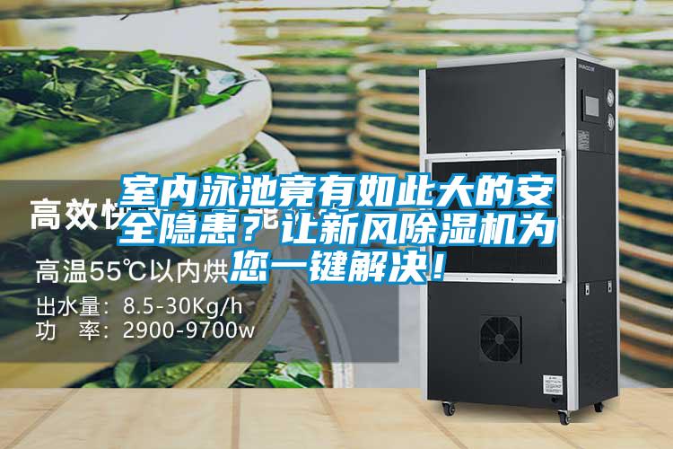 室內(nèi)泳池竟有如此大的安全隱患？讓新風(fēng)除濕機(jī)為您一鍵解決！