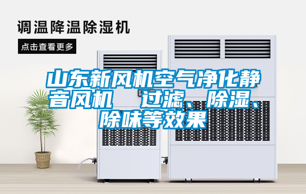 山東新風機空氣凈化靜音風機  過濾、除濕、除味等效果