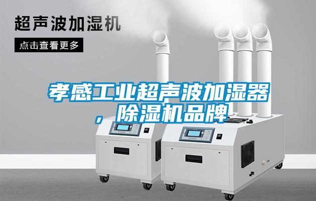 孝感工業(yè)超聲波加濕器，除濕機(jī)品牌