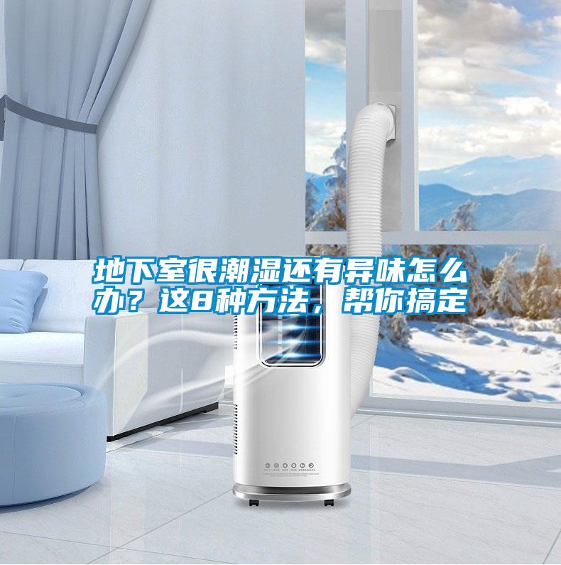 地下室很潮濕還有異味怎么辦？這8種方法，幫你搞定