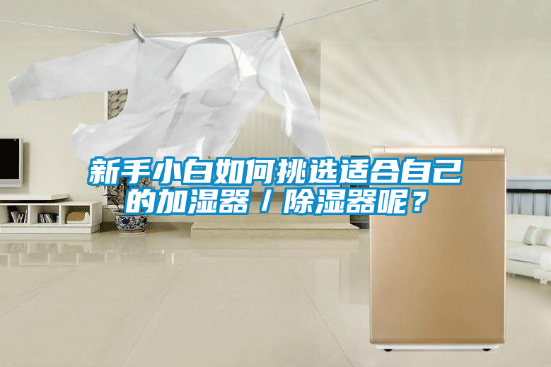 新手小白如何挑選適合自己的加濕器／除濕器呢？