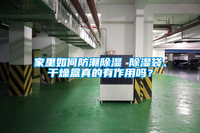家里如何防潮除濕 除濕袋、干燥盒真的有作用嗎？