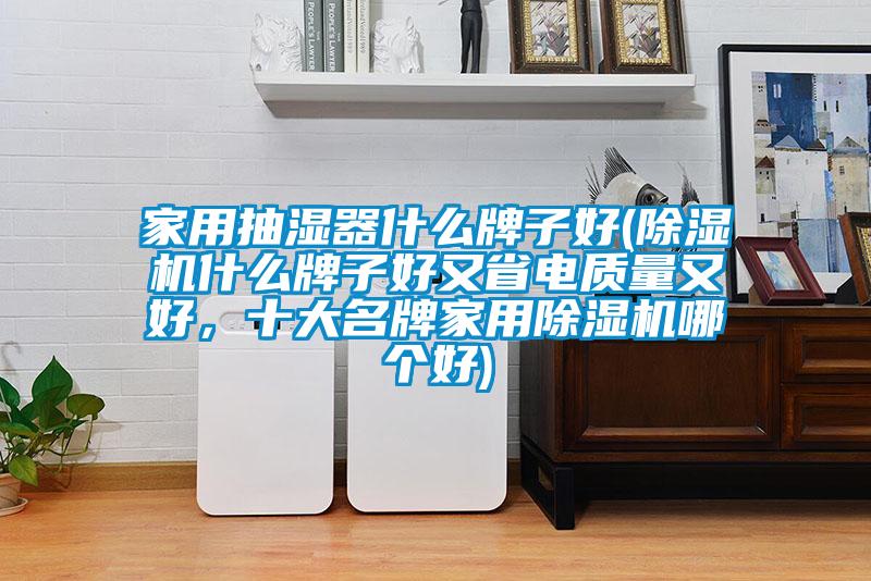 家用抽濕器什么牌子好(除濕機(jī)什么牌子好又省電質(zhì)量又好，十大名牌家用除濕機(jī)哪個好)