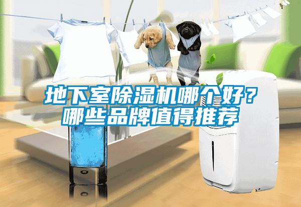 地下室除濕機哪個好？哪些品牌值得推薦