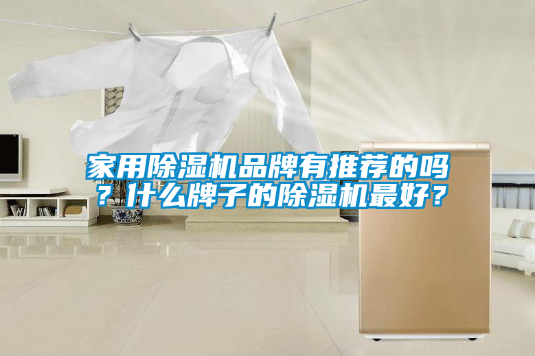 家用除濕機品牌有推薦的嗎？什么牌子的除濕機最好？