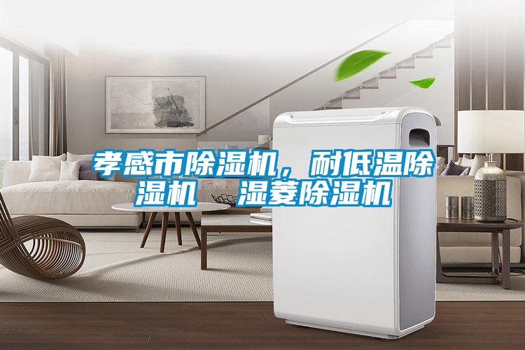孝感市除濕機(jī)，耐低溫除濕機(jī)  濕菱除濕機(jī)