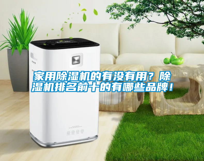家用除濕機(jī)的有沒有用？除濕機(jī)排名前十的有哪些品牌！