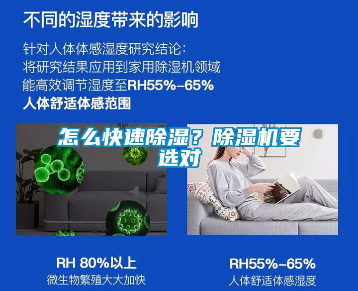 怎么快速除濕？除濕機要選對