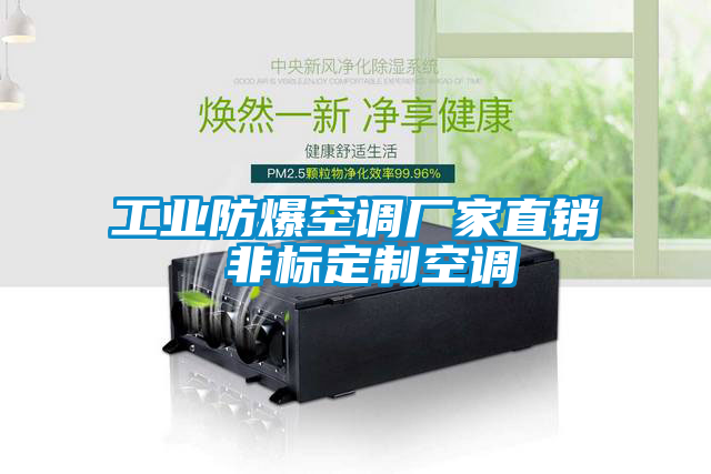 工業(yè)防爆空調(diào)廠家直銷 非標定制空調(diào)