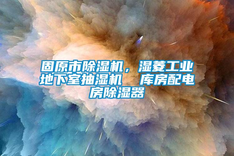 固原市除濕機(jī)，濕菱工業(yè)地下室抽濕機(jī)  庫(kù)房配電房除濕器