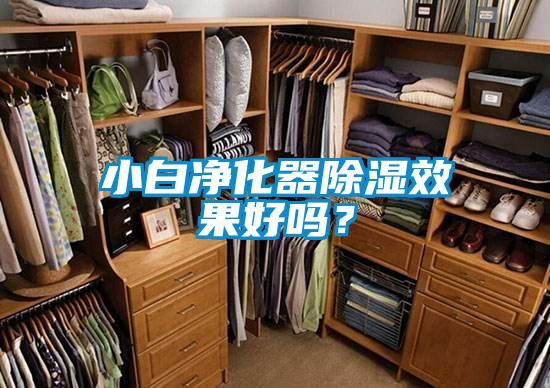 小白凈化器除濕效果好嗎？