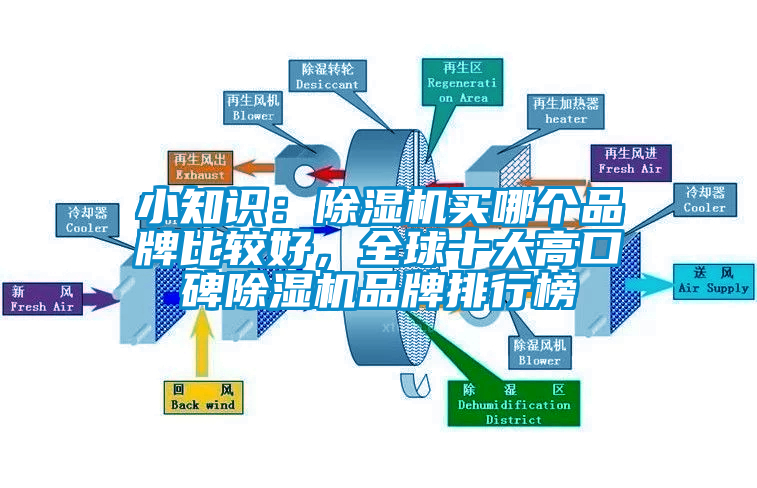 小知識(shí)：除濕機(jī)買哪個(gè)品牌比較好，全球十大高口碑除濕機(jī)品牌排行榜