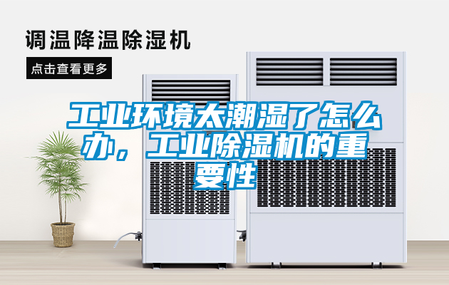 工業(yè)環(huán)境太潮濕了怎么辦，工業(yè)除濕機(jī)的重要性